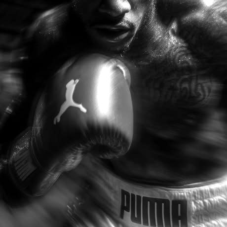 Boxeador en guardia, foto en blanco y negro